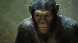 Photo de James Franco à propos du  film fantastique Rise of the Apes Now et publiée le 18 Janv. 2011 à 00:00:00