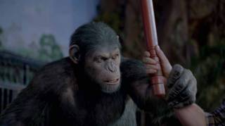 Photo sur Rise of the Apes et Rupert Wyatt, publié le 27 Sept. 2012