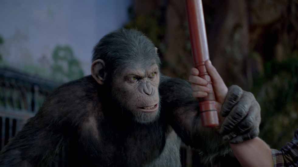 Photo d'actualité sur Rise of the Apes et Rupert Wyatt, publié le 27 Sept. 2012
