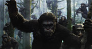 Photo sur Rise of the Apes et Matt Reeves, publié le 09 Janv. 2014
